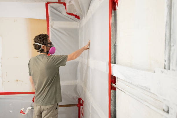 Best Basement Mold Removal  in Rankin, TX